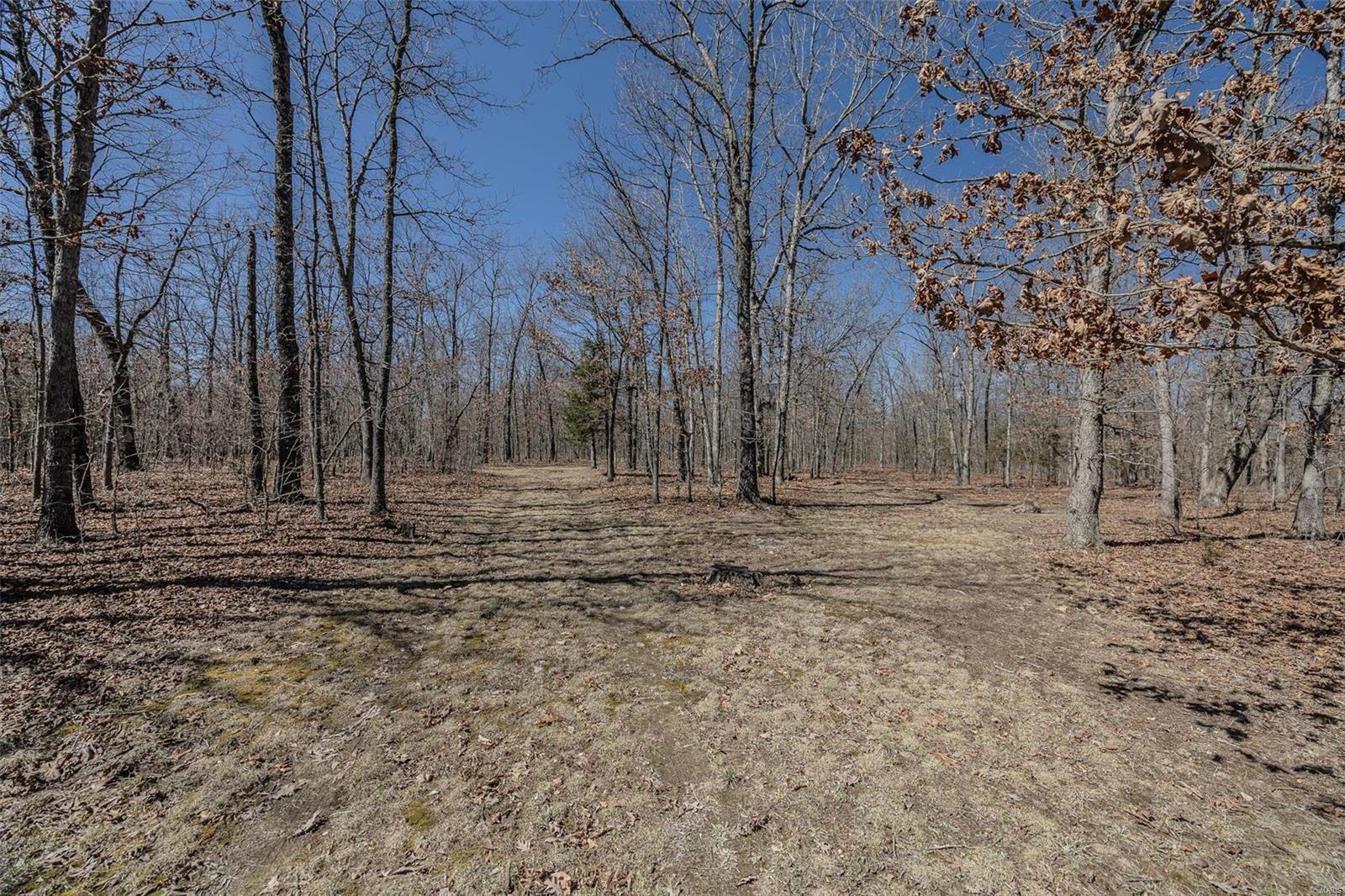 Property Photo: 7589 Abram Road MO 65667