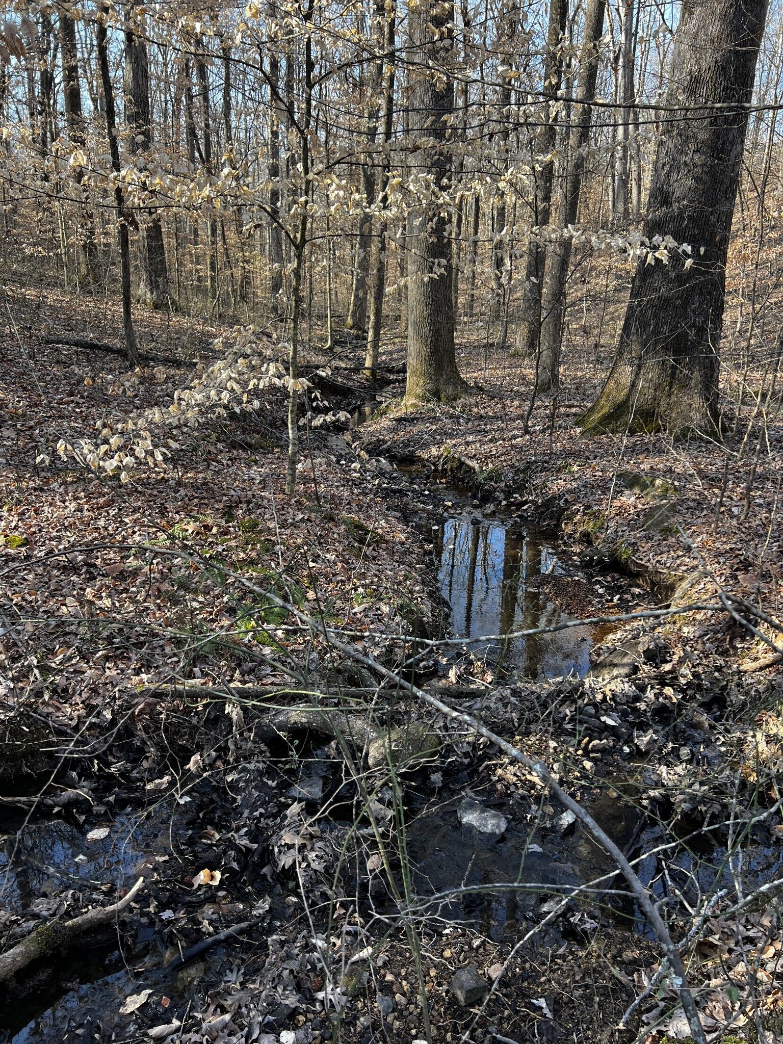 Property Photo:  1232 W Point Rd  TN 38464 