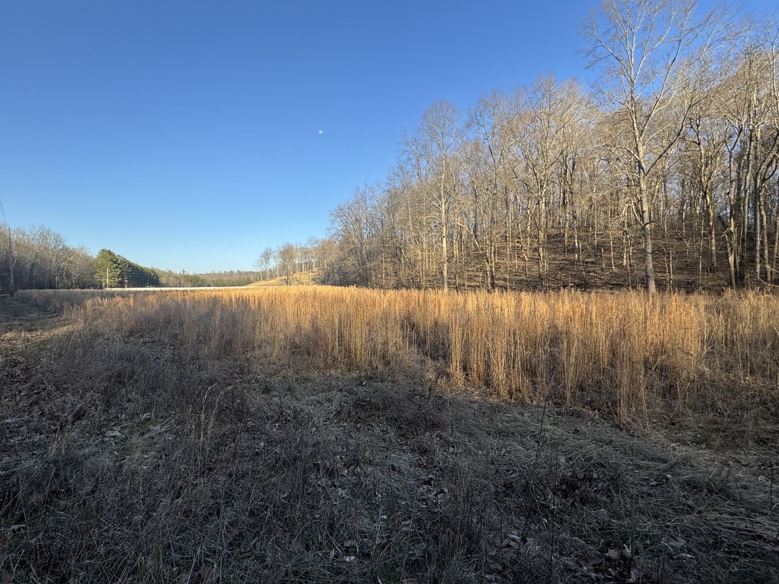 Property Photo:  1 Cox Hollow Rd  TN 37058 