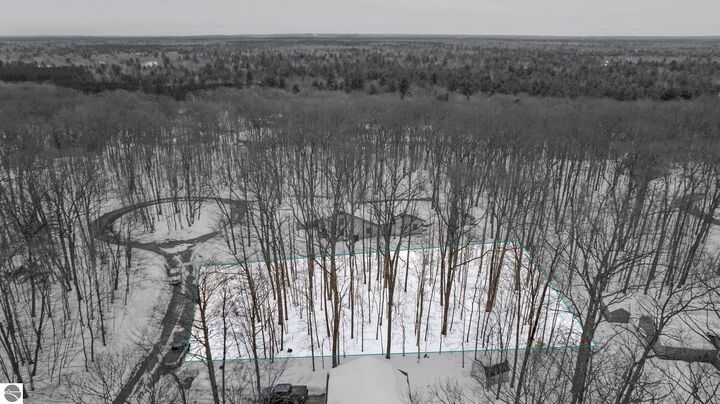 Property Photo:  Lot 830 Mohican Trail  MI 49735 