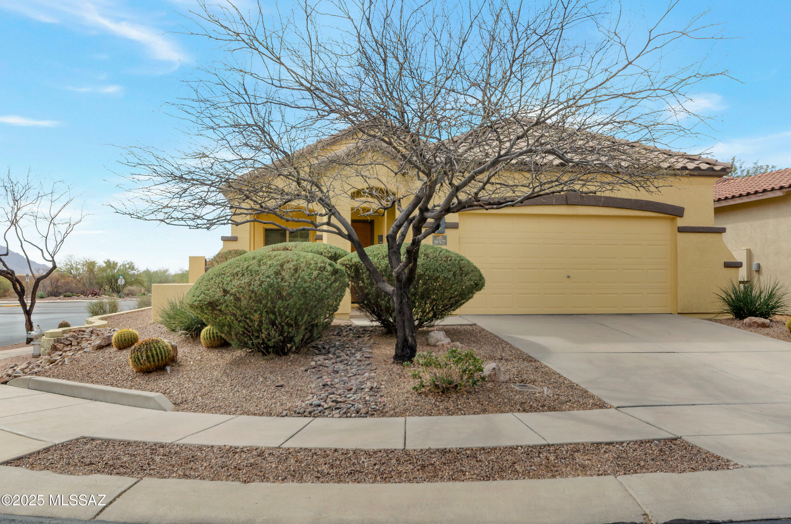 Property Photo:  957 W Leatherleaf Drive  AZ 85737 