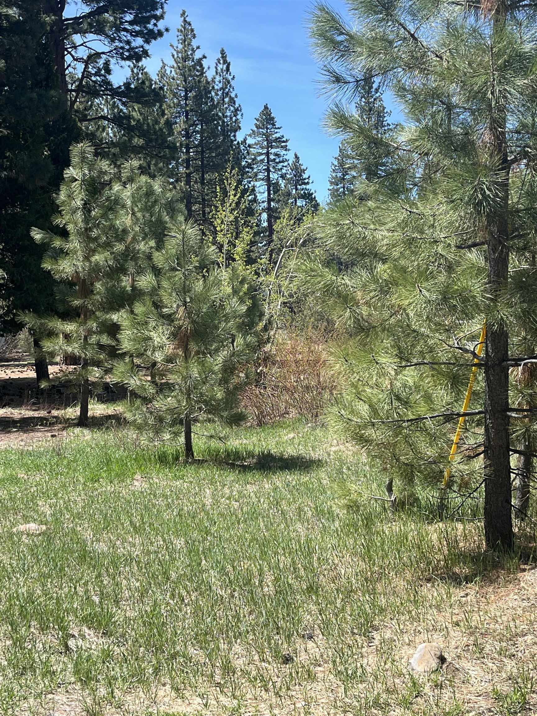 Tiger Avenue  Tahoe Vista CA 96148 photo