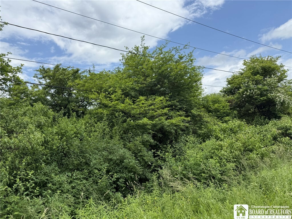 Property Photo: James Road NY 14782