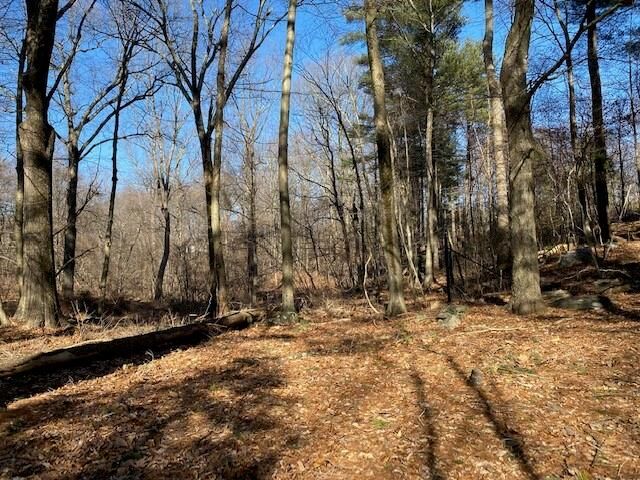 Old Logging Road  Bedford NY 10506 photo