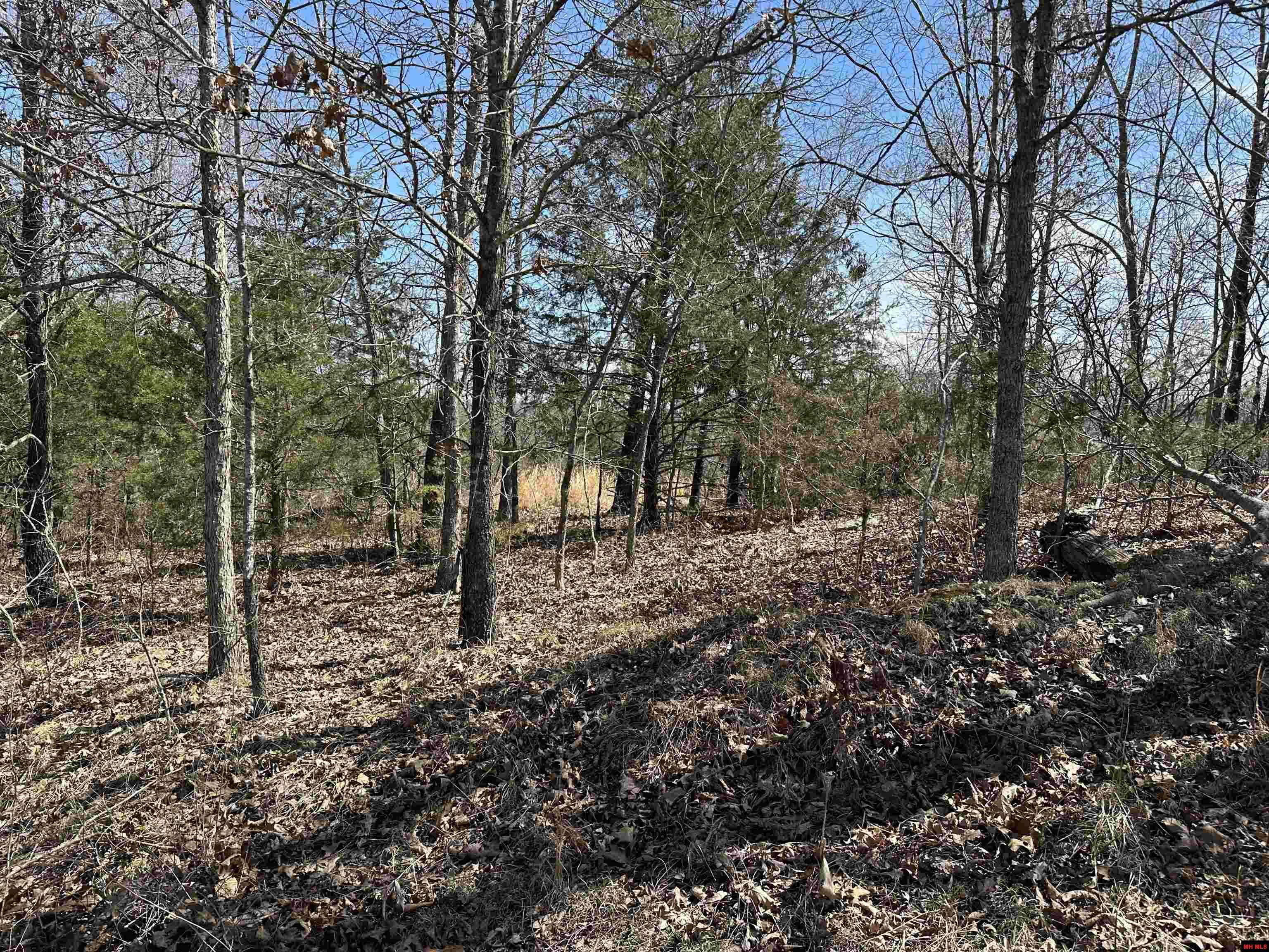Property Photo: Lot 2 Deer Meadows Lane AR 72687