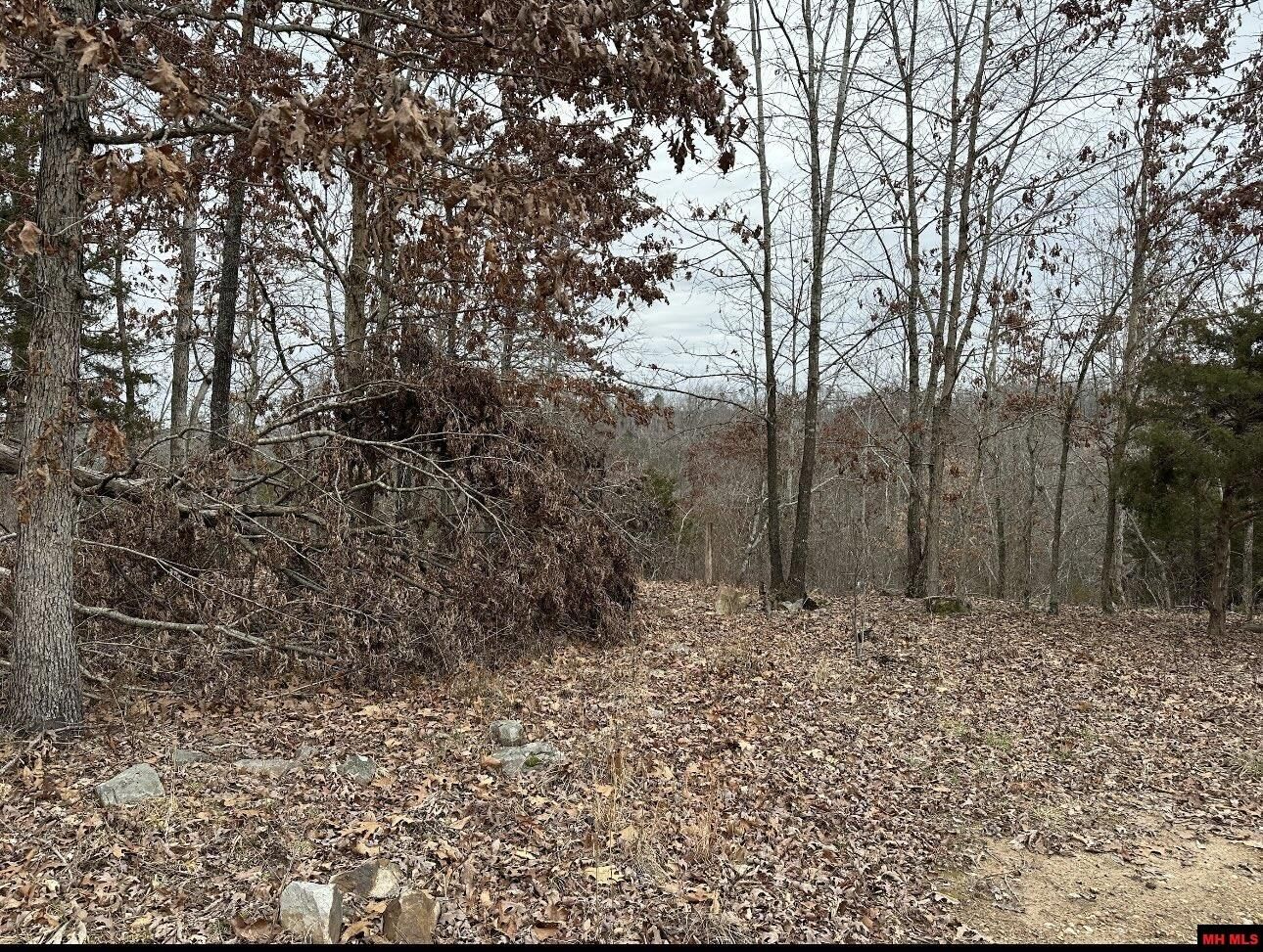 Property Photo: Lot 2 Deer Meadows Lane AR 72687