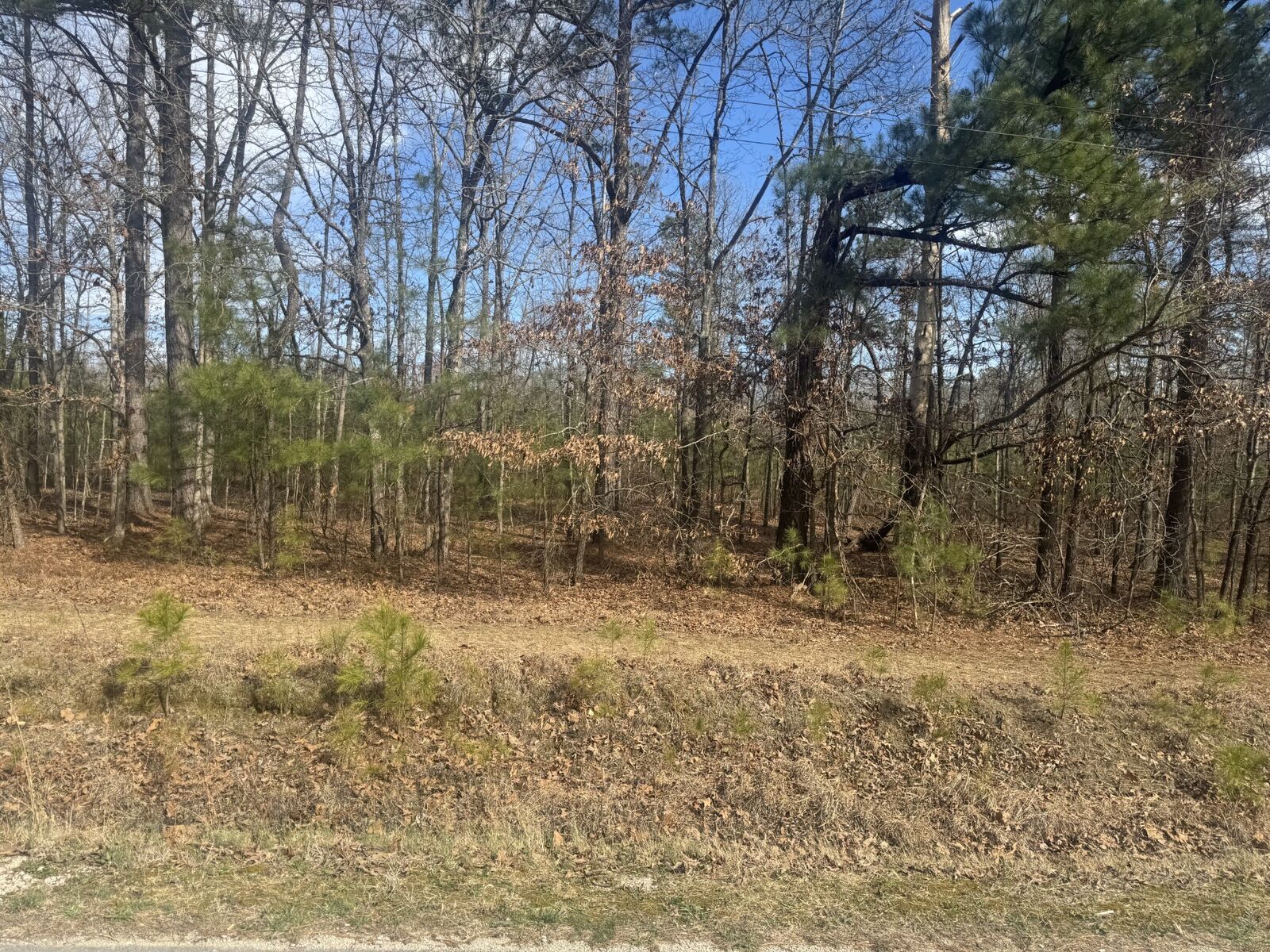 Property Photo: 833 Drake Ln TN 38483