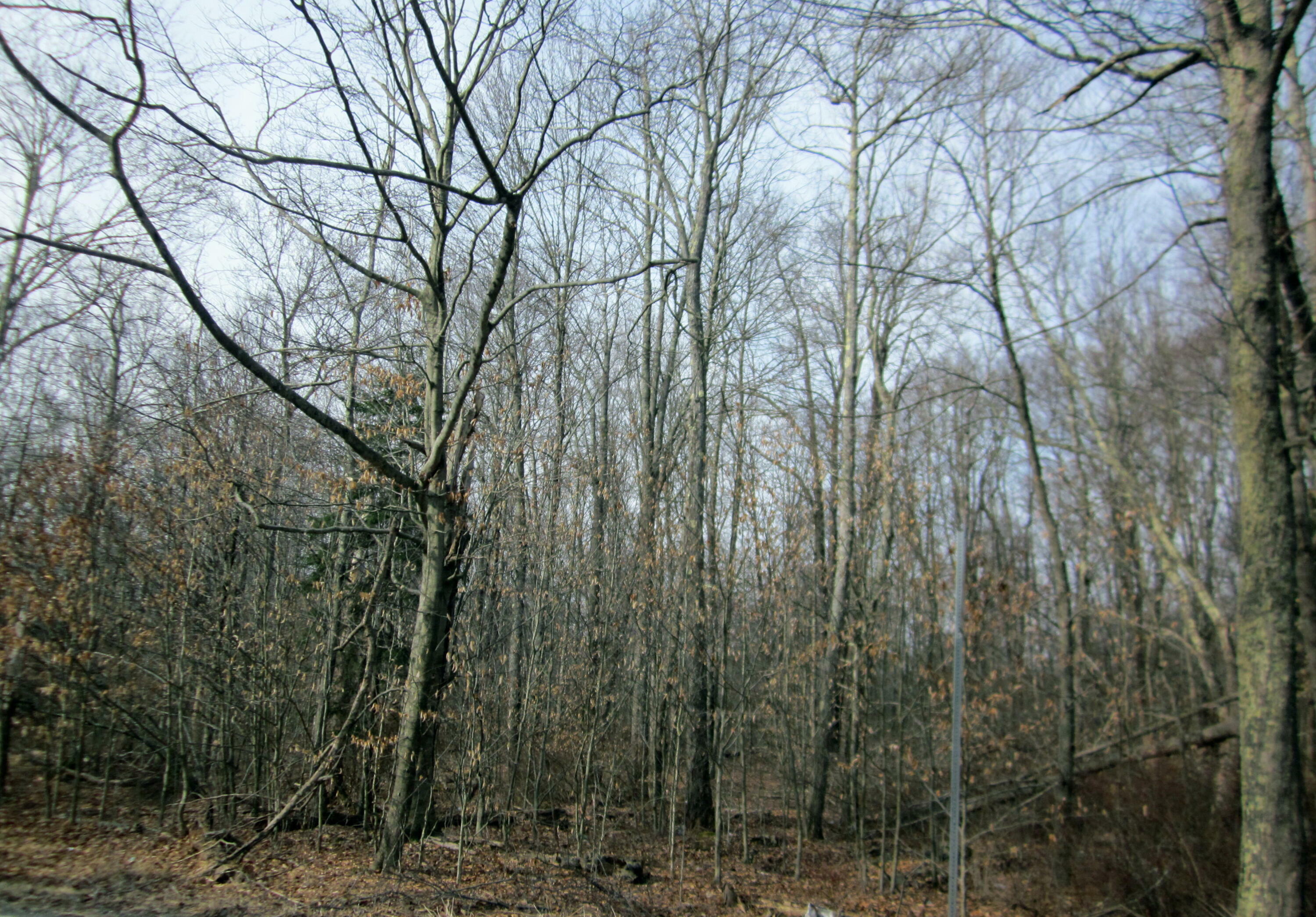 Property Photo: Lr 45039 Lr 45039 PA 18347