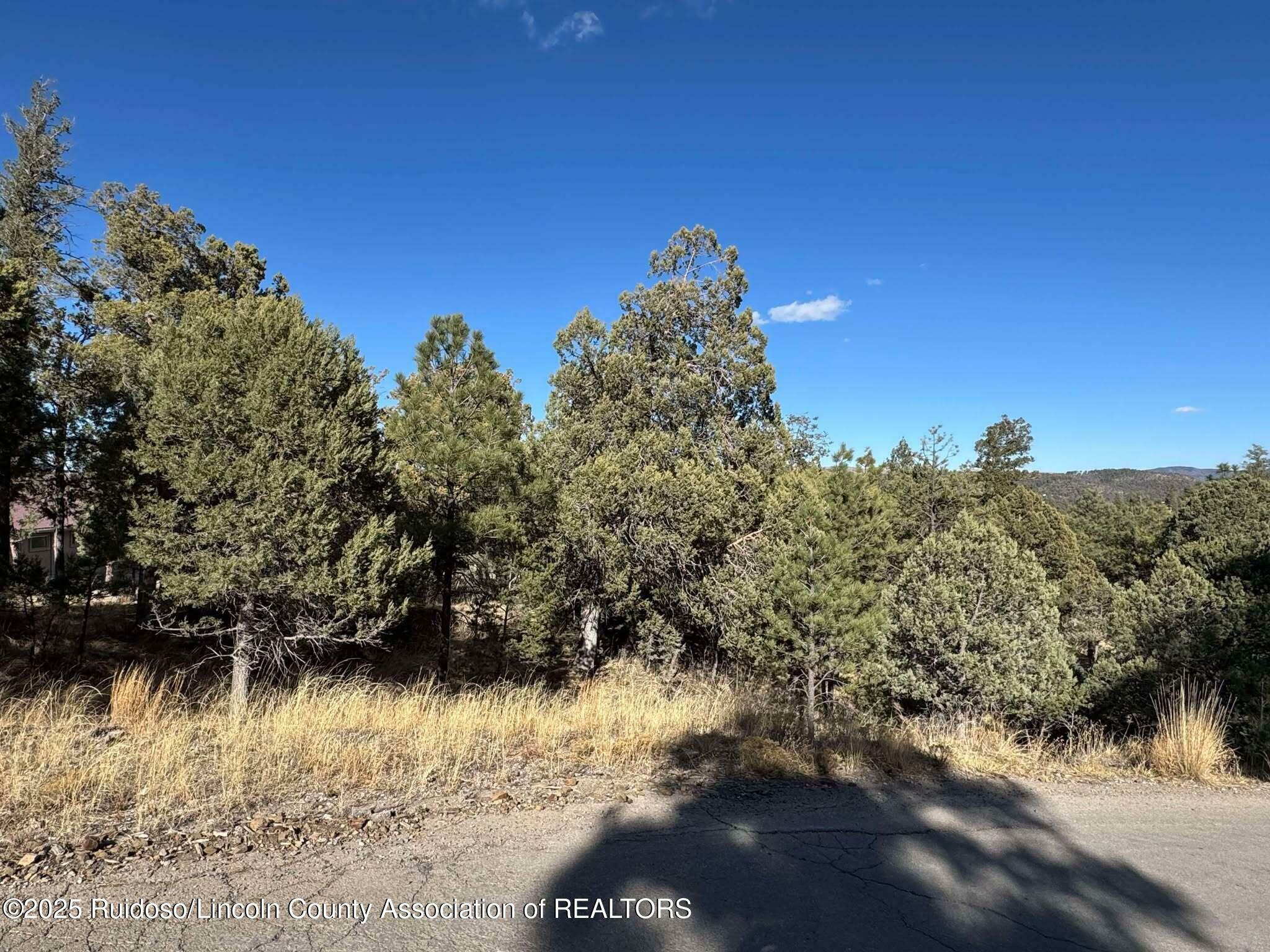 Property Photo:  108 Oak Grove Place  NM 88345 