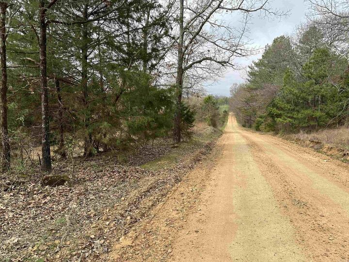Property Photo: Lot 4 Raby Road AR 72432