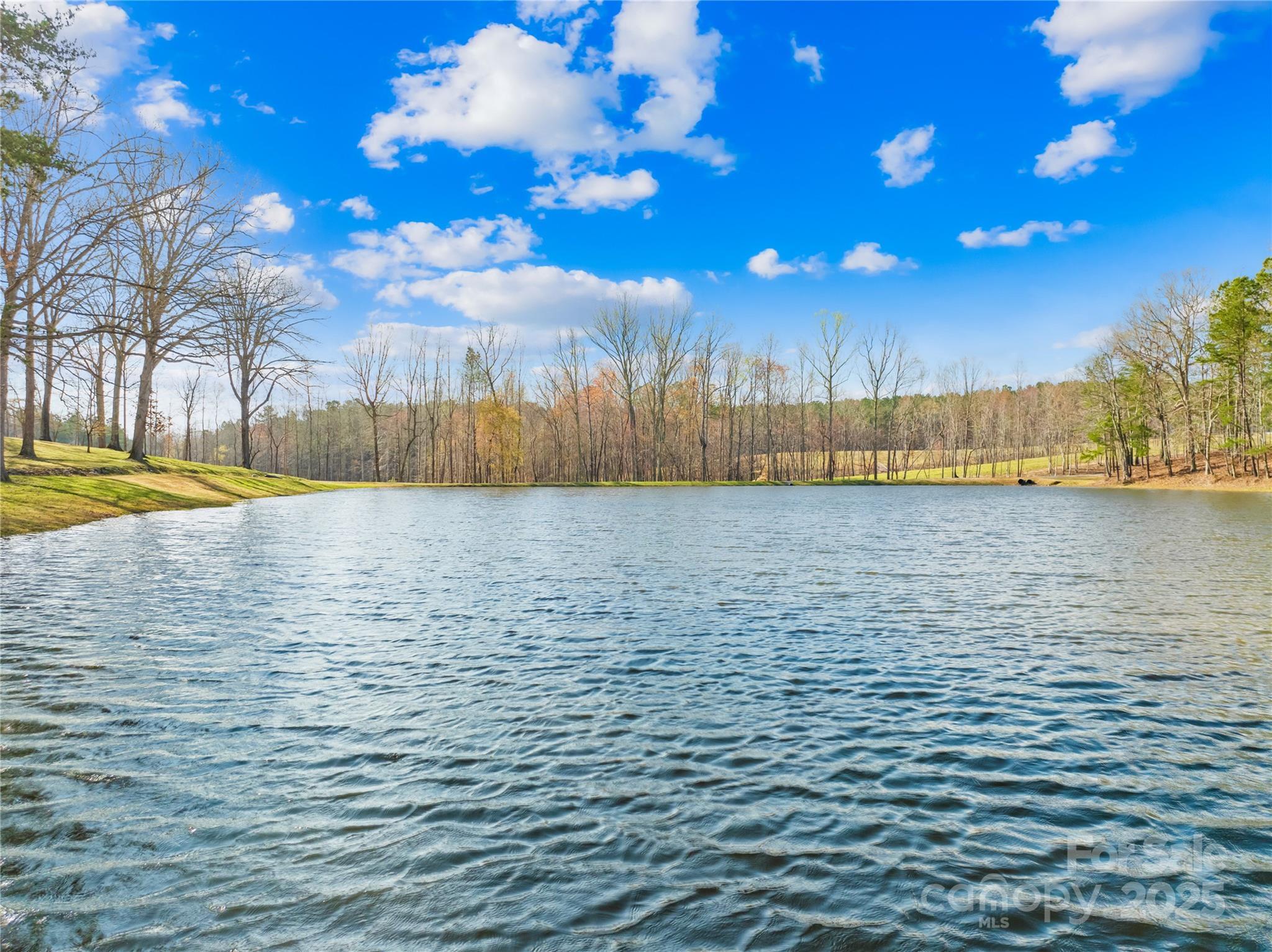 Property Photo: 164 Linderman Lake Lane NC 28086