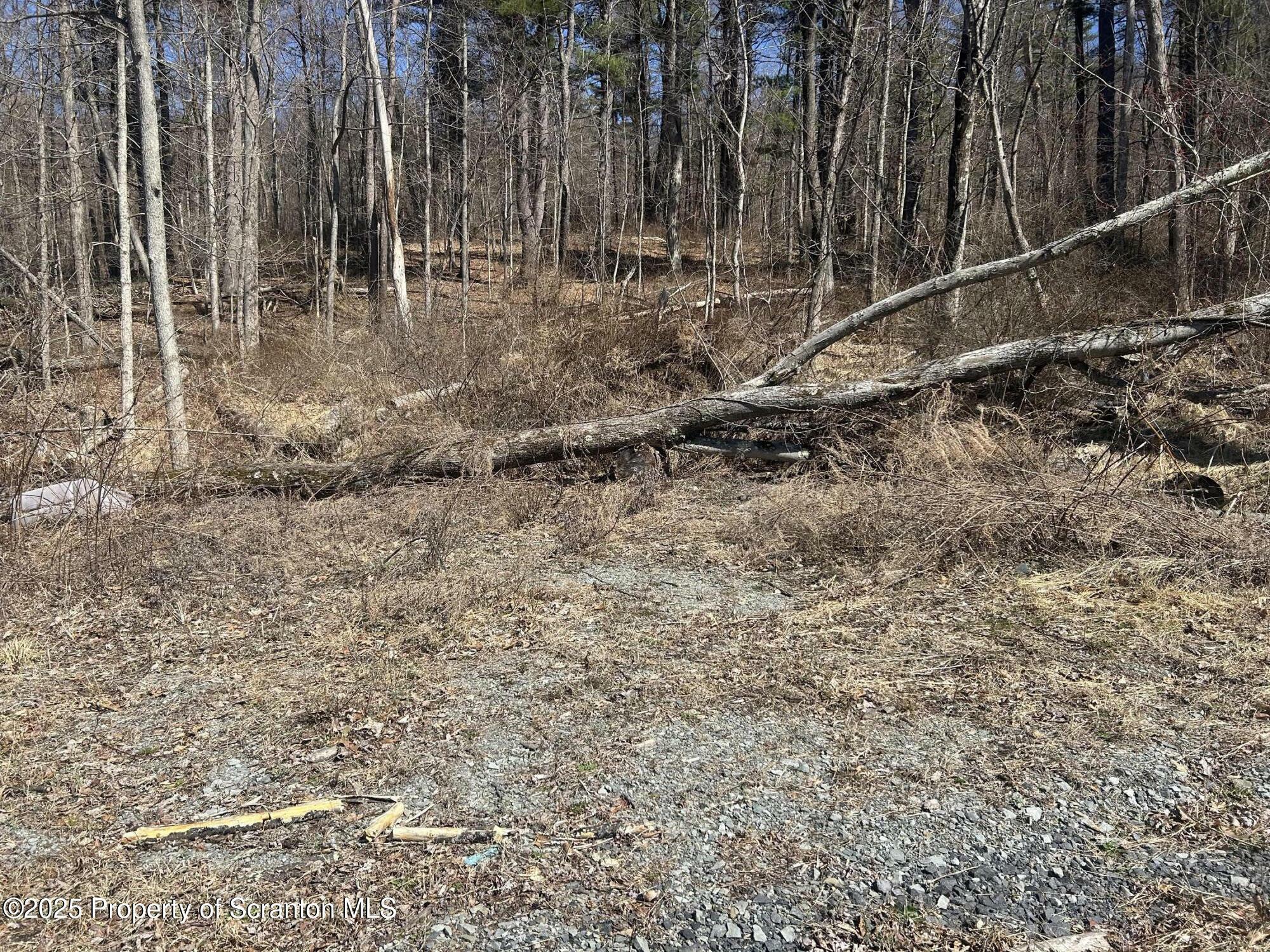 Property Photo: Lot 8 Lower Narrows Rd PA 18411