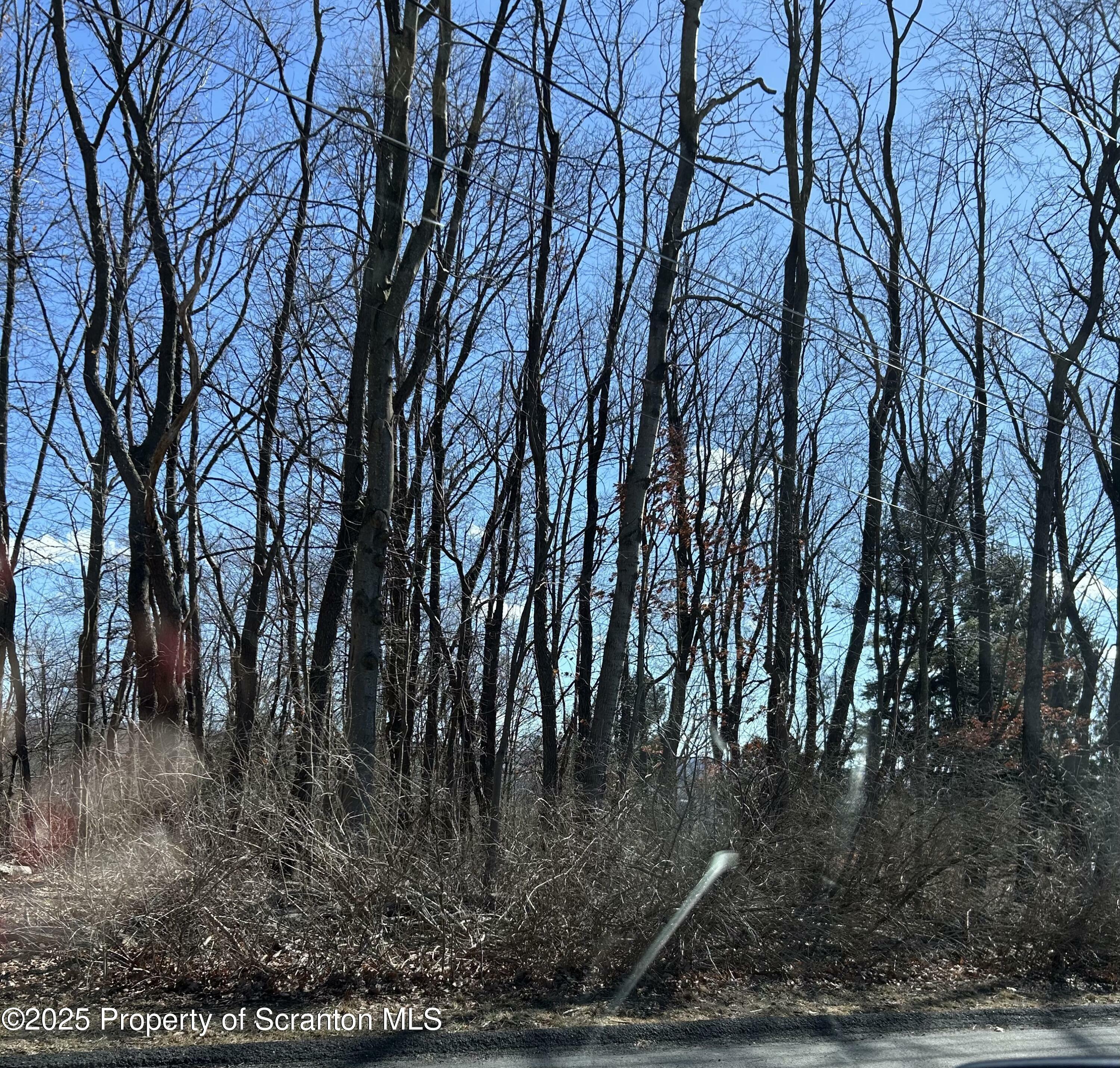 Property Photo: Virginia Avenue PA 18452