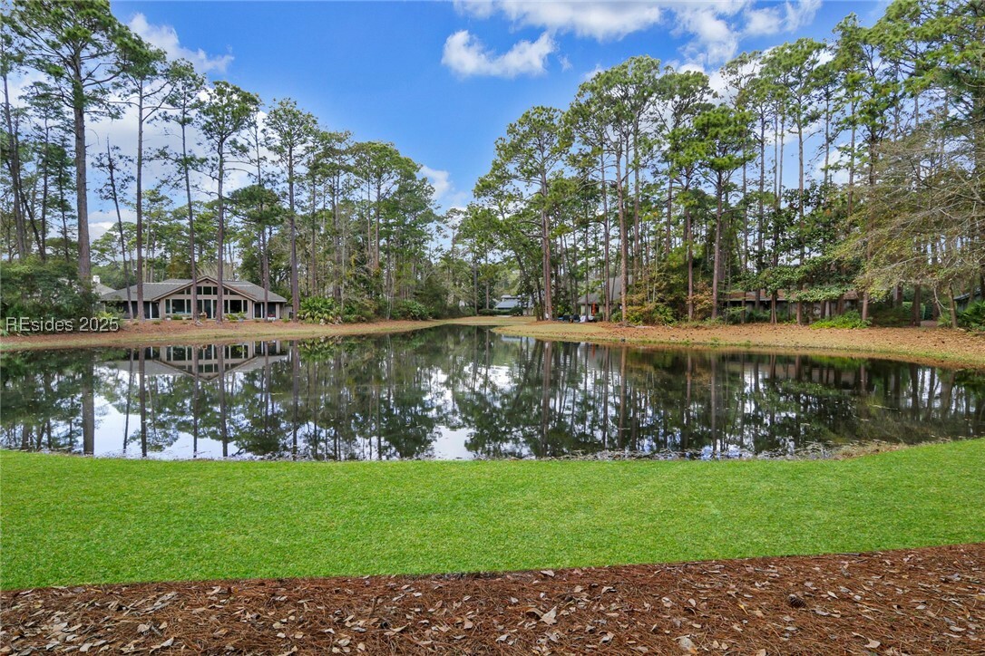 Property Photo: 35 Winding Trail Lane SC 29926