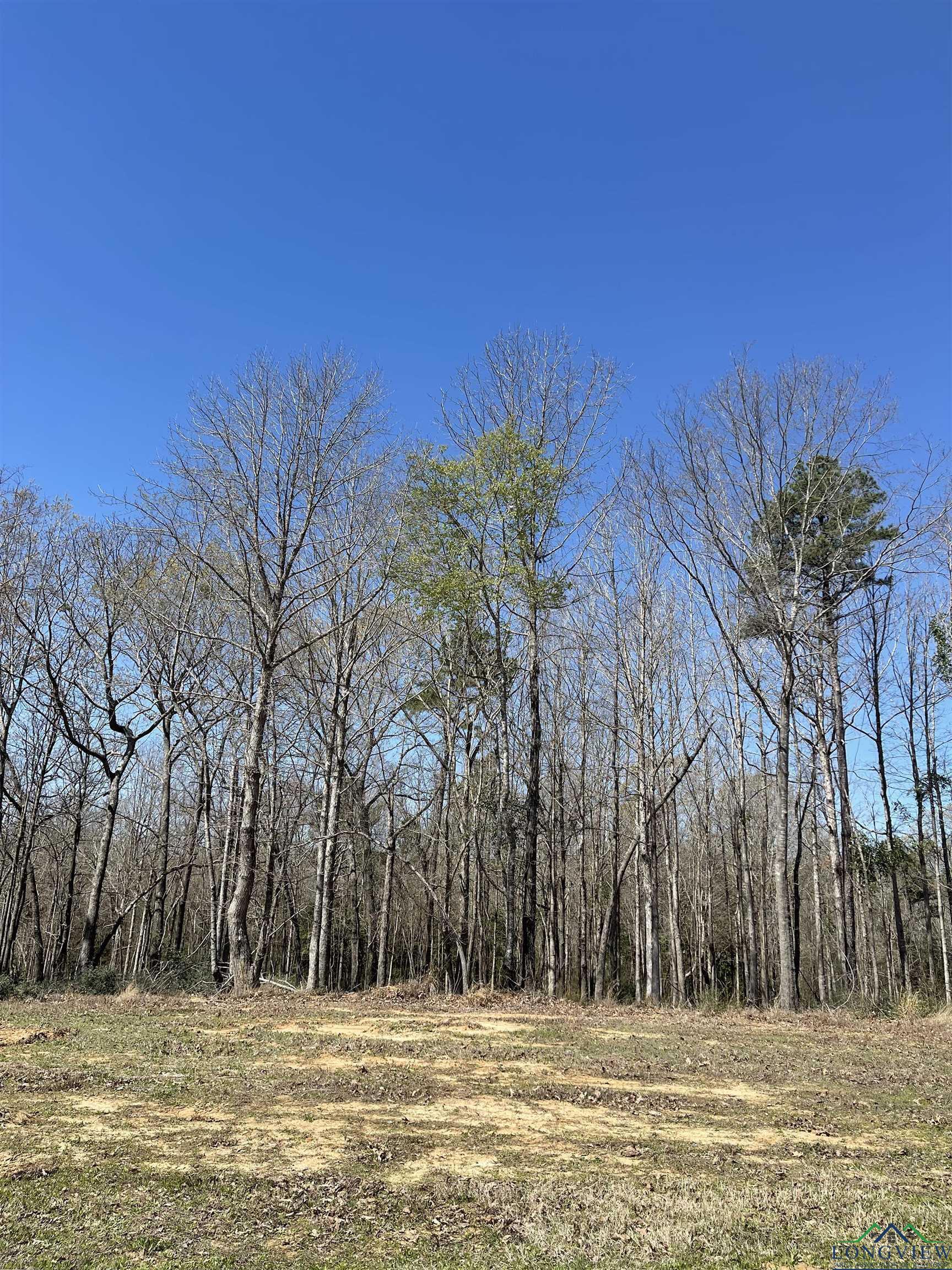 Tbd Thorn Briar Lot 1, Blk 3  Longview TX 75602 photo