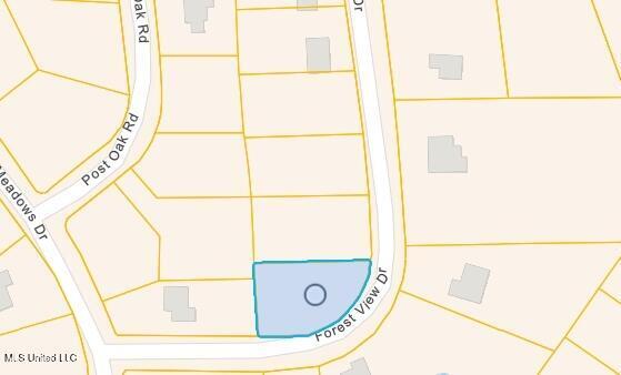 Property Photo:  17 Forrest View Drive  MS 39426 