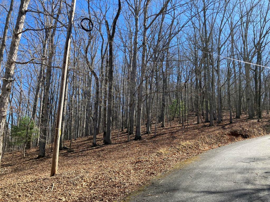 Property Photo: Lot 4 Mirandi Drive NC 28909
