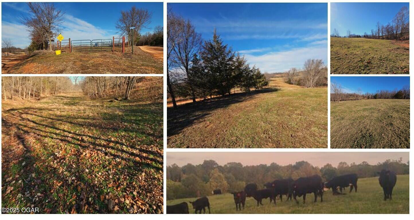 40.192 Low Gap Road  Noel MO 64854 photo