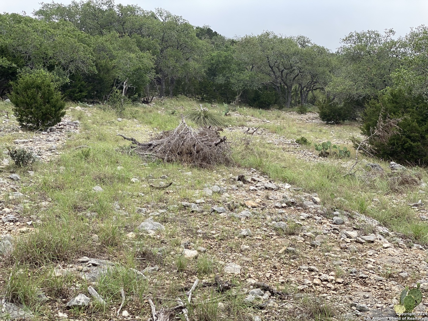 Property Photo: 3726 Morris Lynn TX 78261