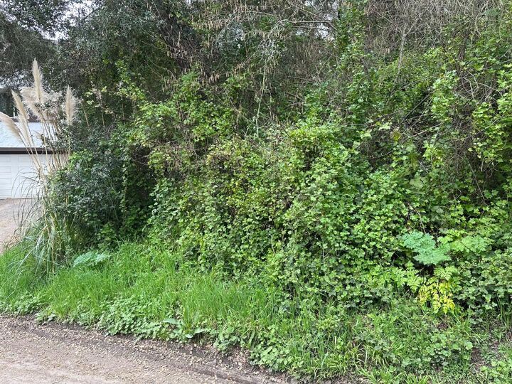 Property Photo: 000 Encino Drive CA 95003