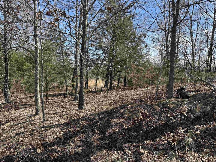 Property Photo:  Lot 2 Deer Meadows Lane  AR 72687 