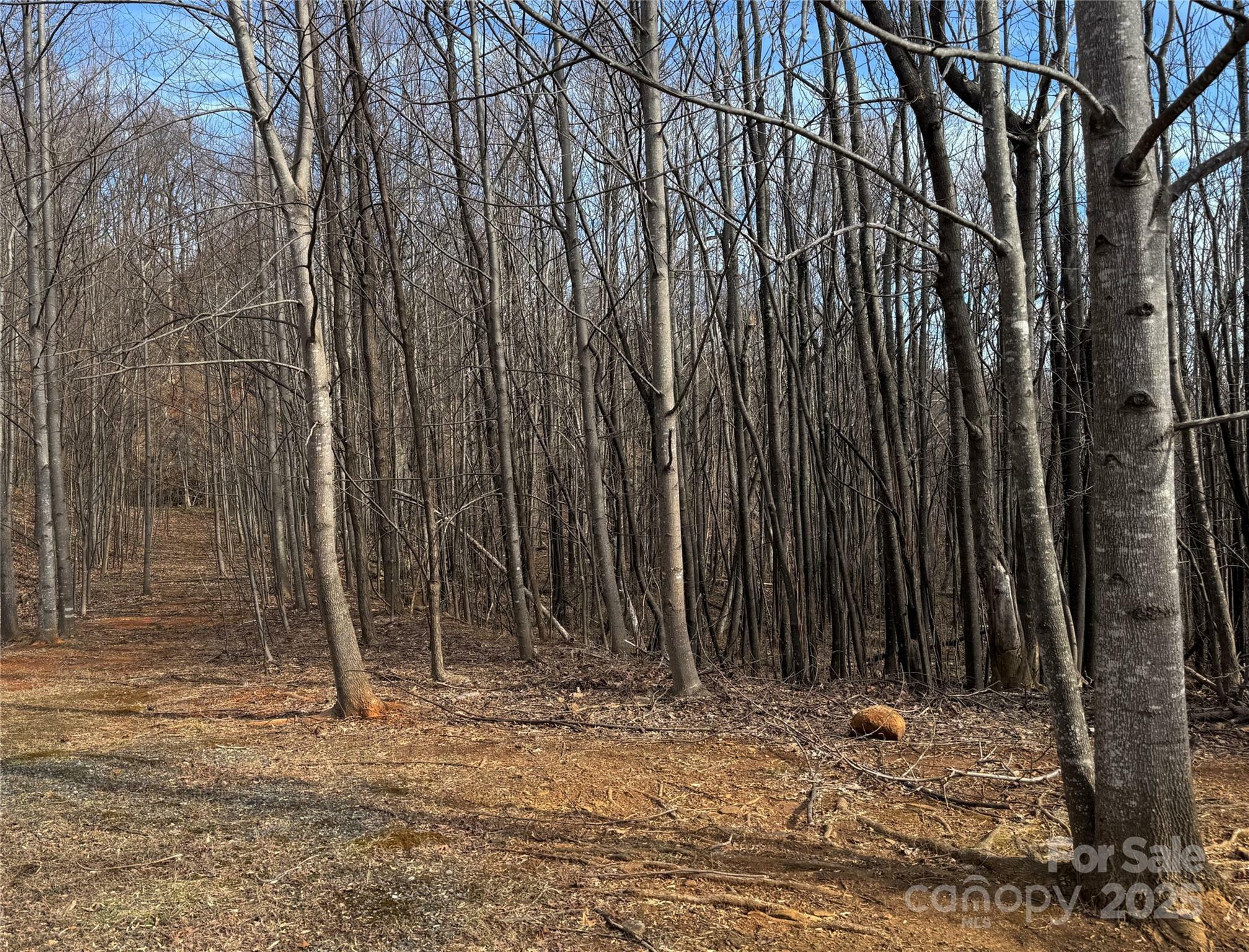 Property Photo: 99999 Chesterfield Drive 179 NC 28756