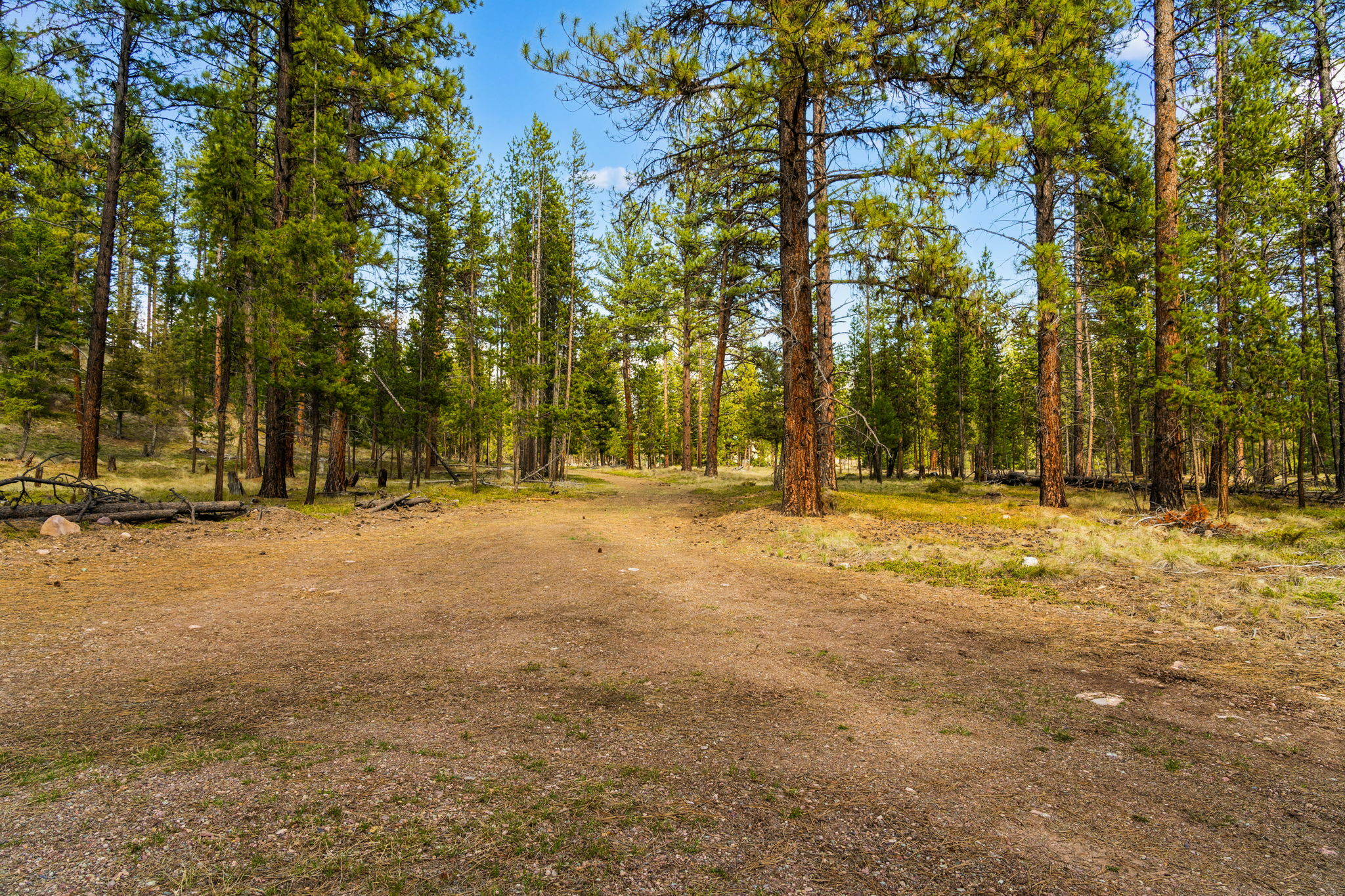 Nhn Crawfish Court  Seeley Lake MT 59868 photo