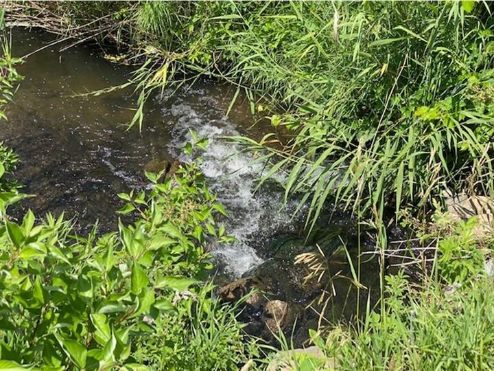 Property Photo: Lot C 113th Street MN 56309