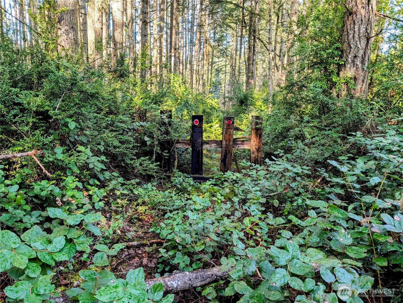 Property Photo: 0 30th Street SW WA 98349