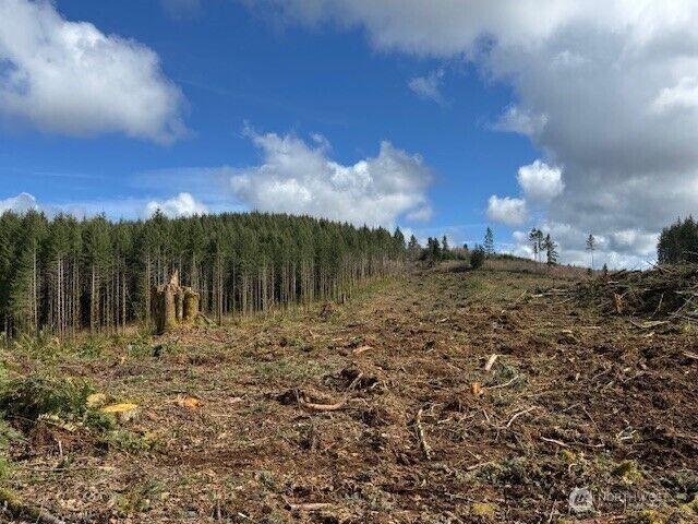 Property Photo: 0 Lot 2 August Road WA 98532