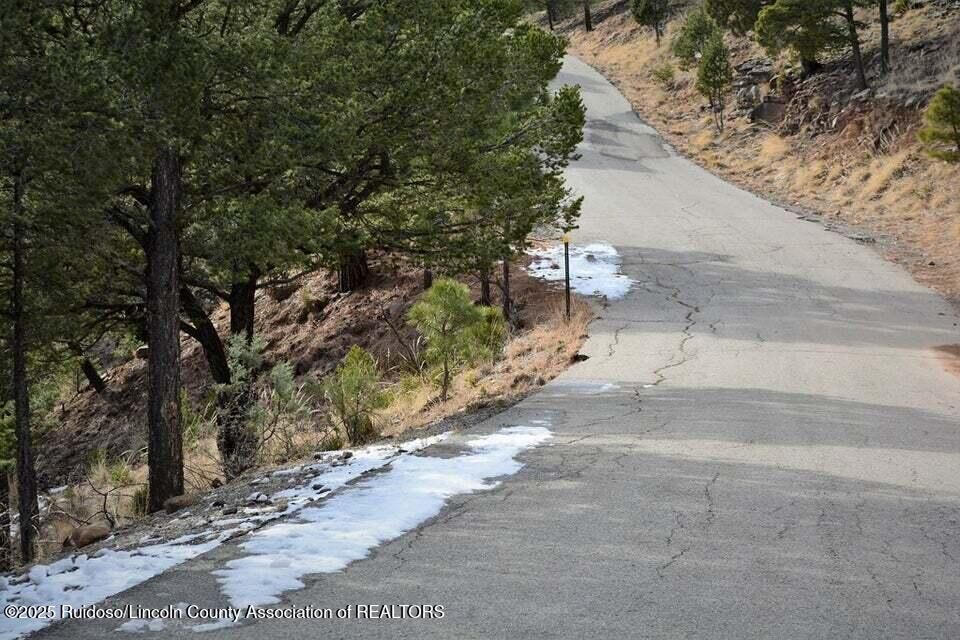 Property Photo:  106 Edgeview Court  NM 88312 