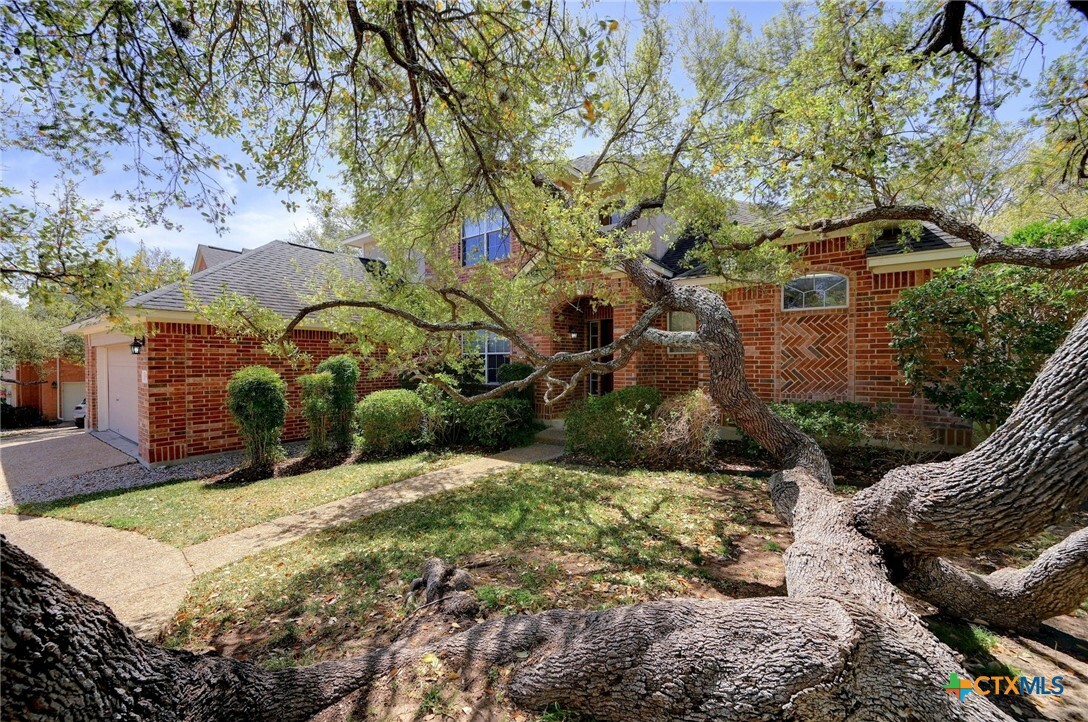 18019 Marble Spring  San Antonio TX 78258 photo