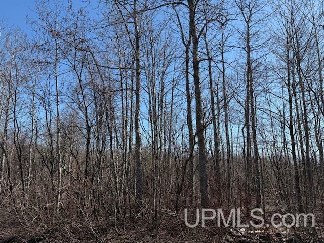 Property Photo: Tbd M-203 Highway MI 49913