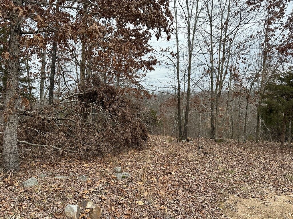 Property Photo:  Lot 1 Deer Meadows Lane  AR 72687 
