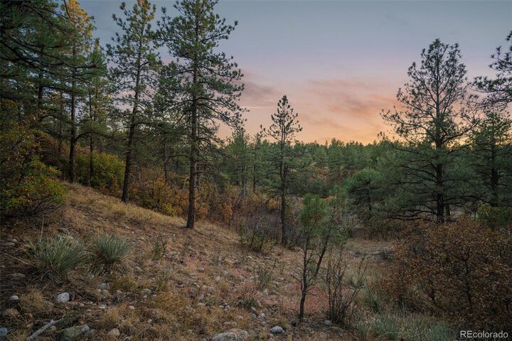 Property Photo: 11011 Sunset Oaks Place CO 80116