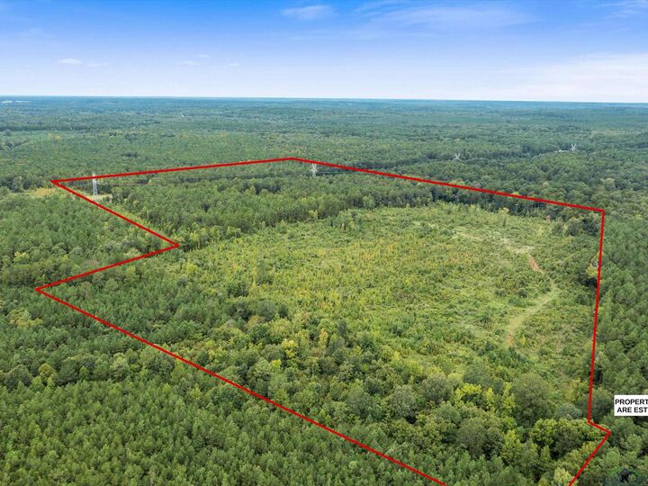 Property Photo:  Tbd Fm 95 (69.03 Acres)  TX 75681 