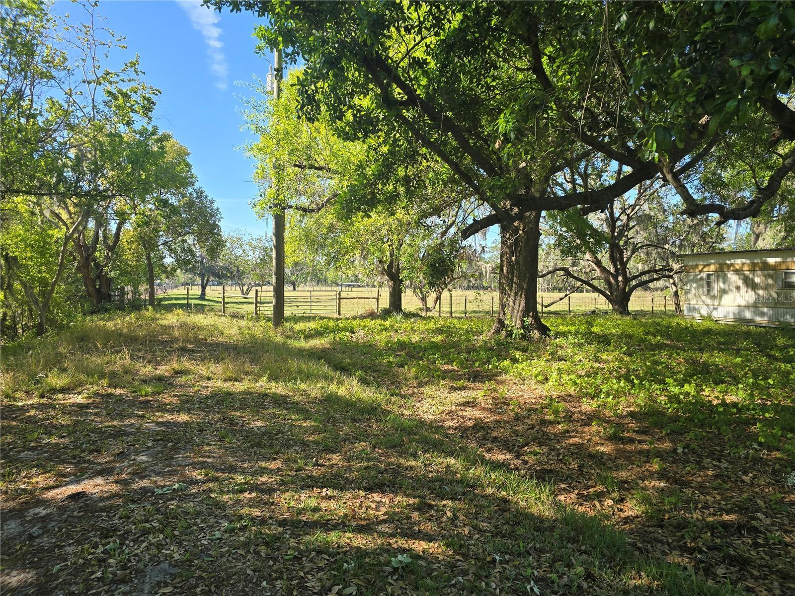 Property Photo: Johnson Road FL 33823