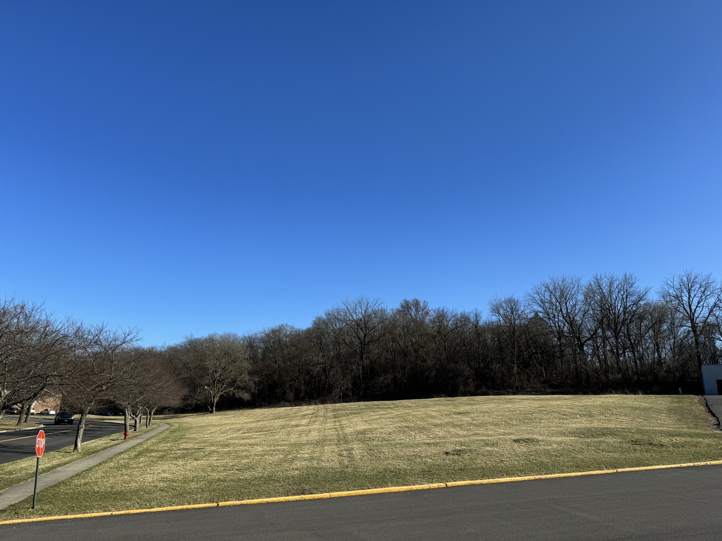 Property Photo: 0000 Strom Drive IL 60118