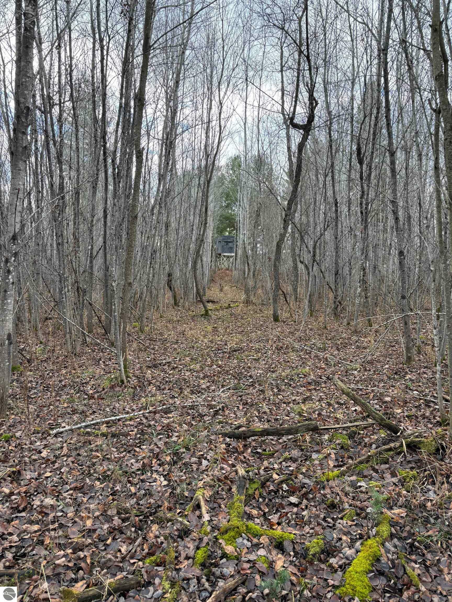 40 Acres Brown Bridge Road  Traverse City MI 49696 photo