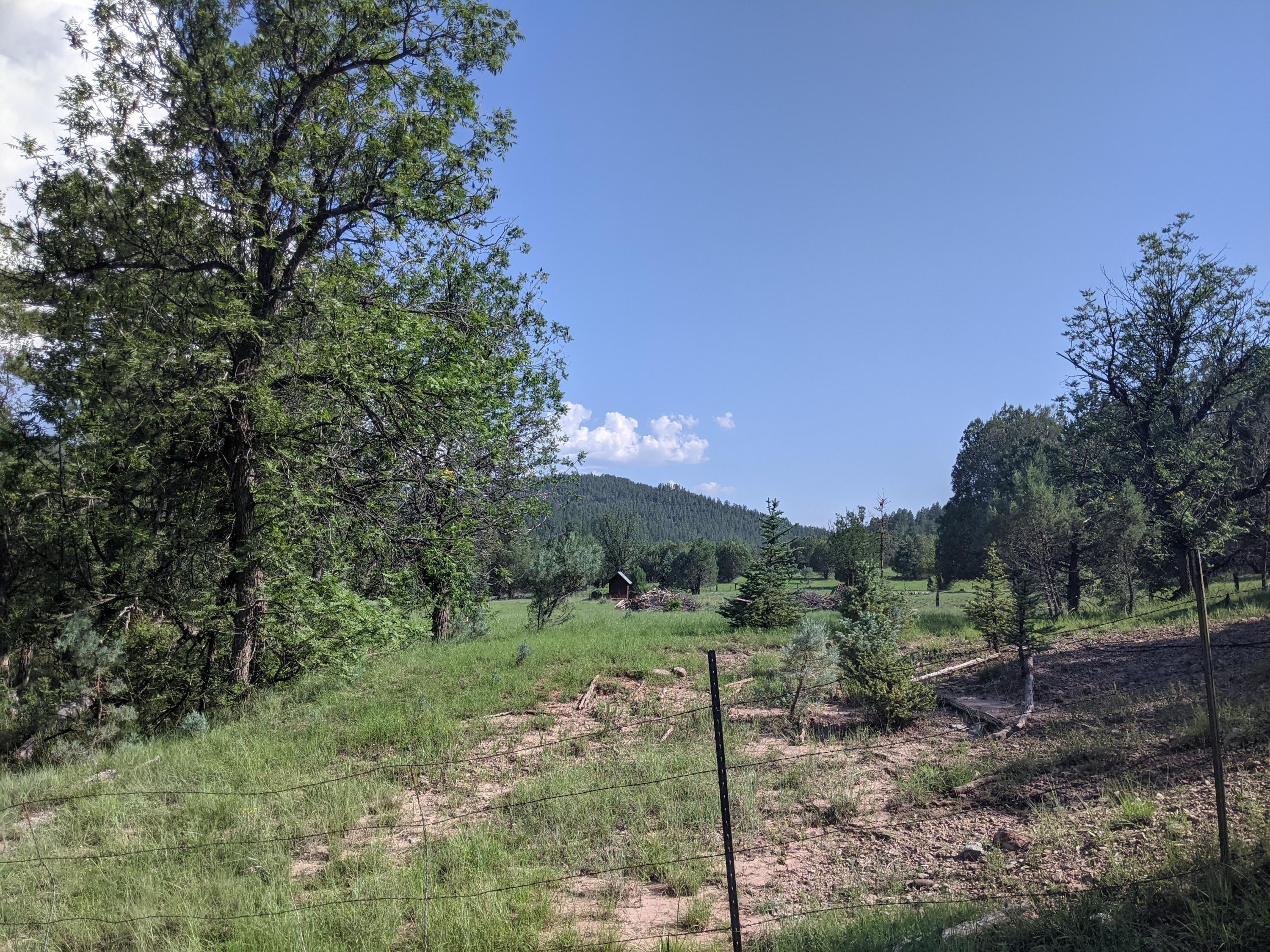 Property Photo:  181 S Blackfoot Road  AZ 85541 