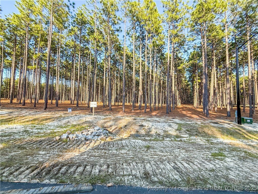 Property Photo: 1016 Rhum (Lot 51) Drive NC 28311