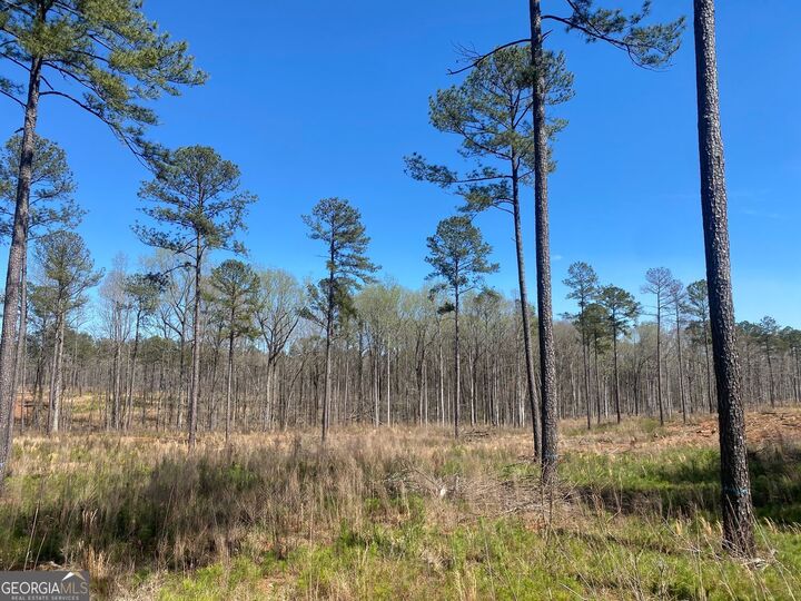 Property Photo:  671 Giles Road  GA 31029 