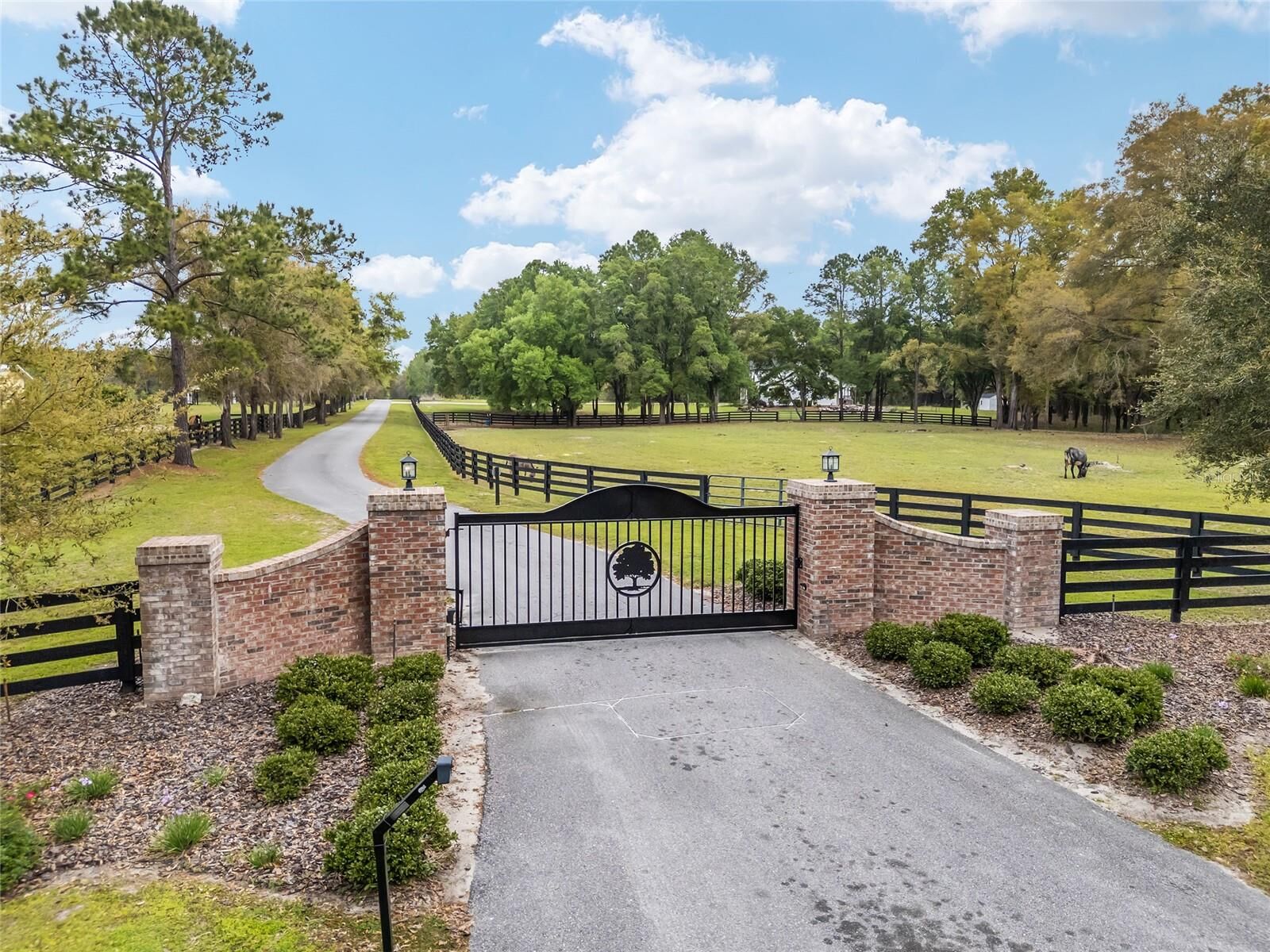 Property Photo:  3595 NW 156th Drive  FL 32669 