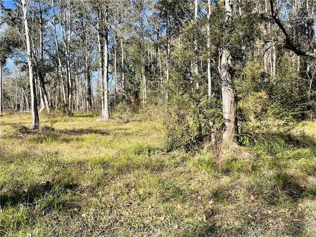 Property Photo:  Downey Road  LA 70461 