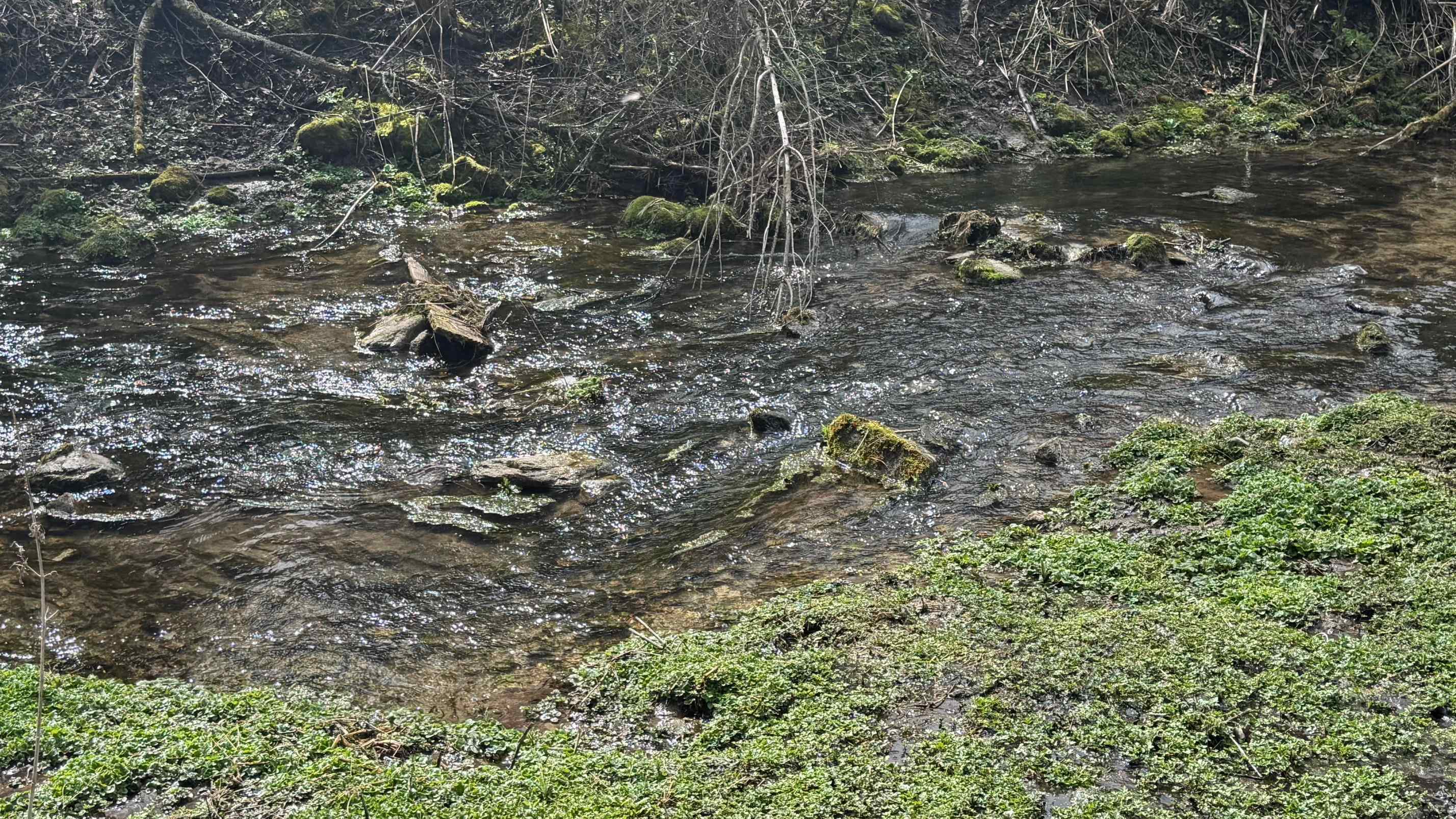 Property Photo: 17306 N Dartford Rd WA 99208