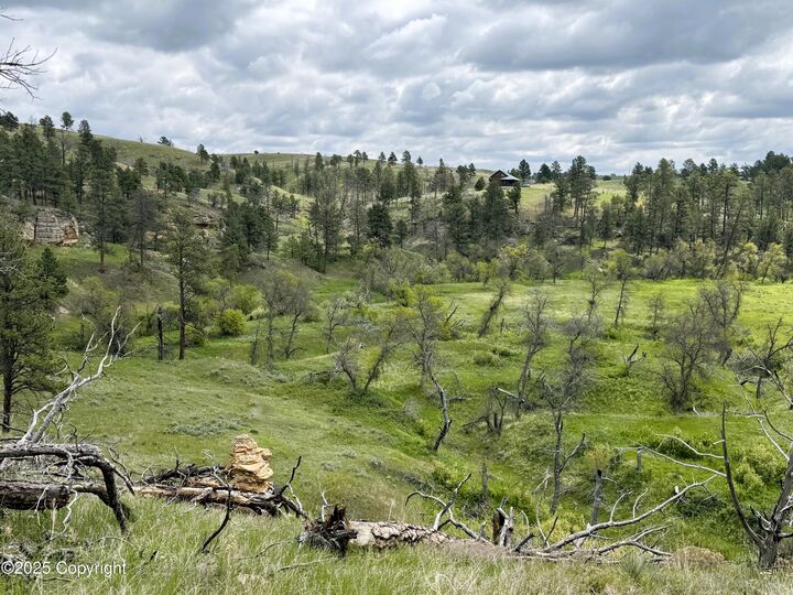 175 Gruenhagen Rd -  Moorcroft WY 82721 photo
