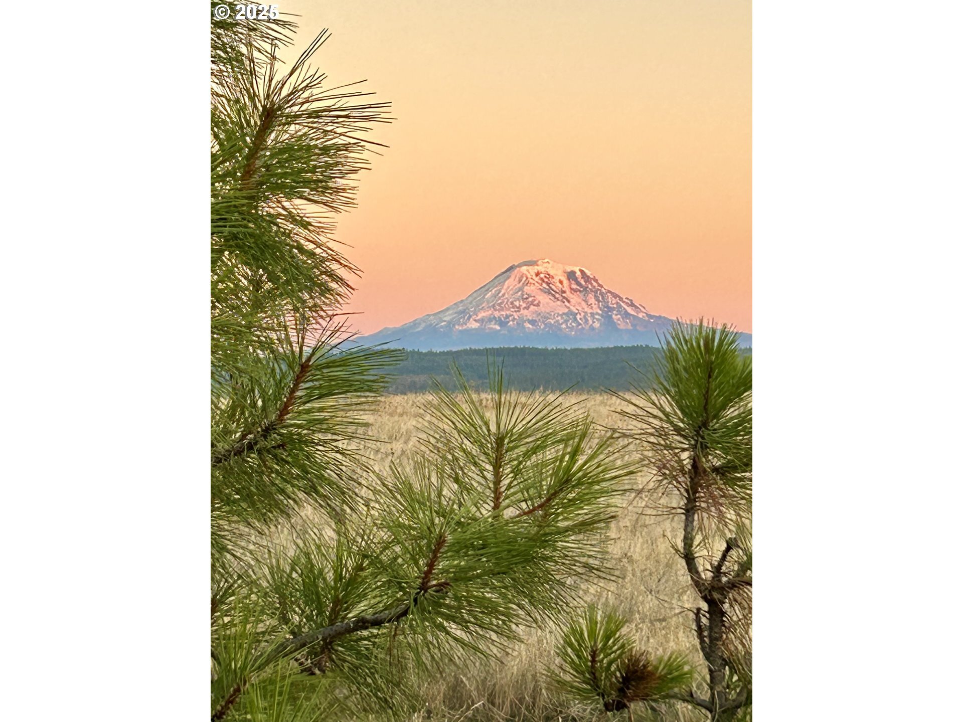 Property Photo: 0 Redtail Rd WA 98635