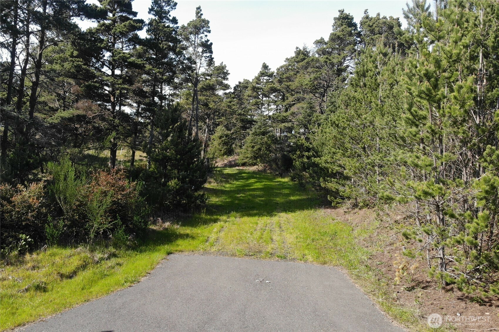 Property Photo: 21 Sea Mist Lane WA 98595
