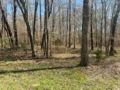 Property Photo: 378 State Highway 68 W TN 37322