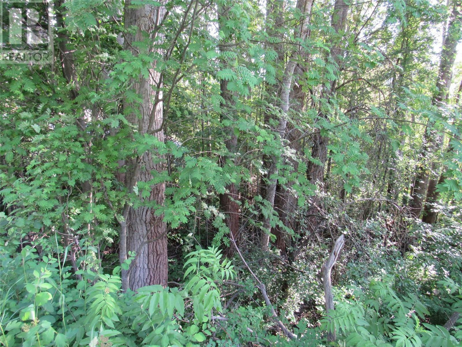 Photo de la propriété:  1112 Pass Creek Road  BC V0G 1X0 